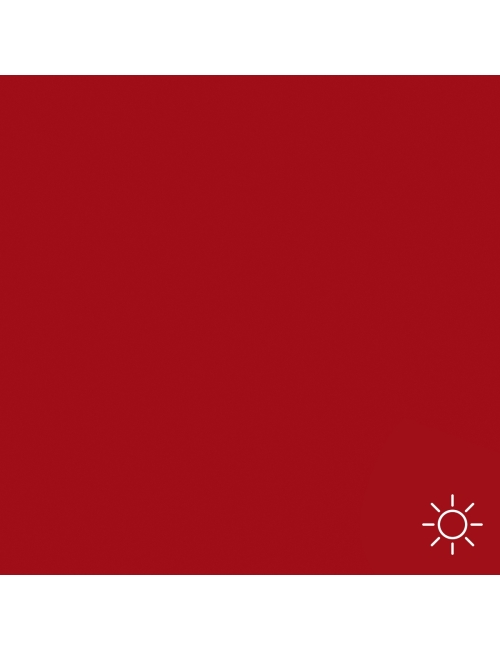 Pigment bright amarylis evo - Amiea