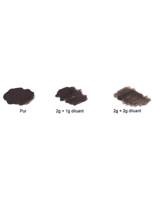 Pigment intense dark evo2 - Amiea