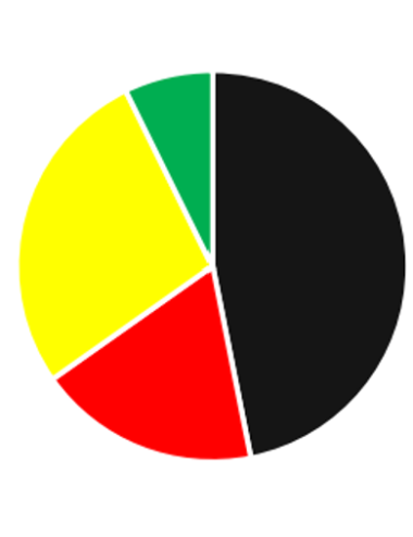 Pigment intense dark evo2 - Amiea