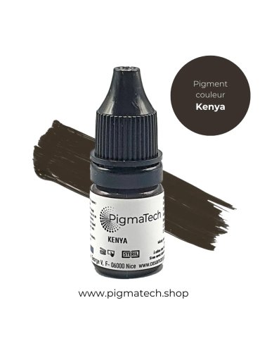 Pigment pigmatech kenya - Pigmatech