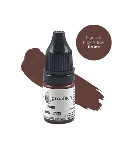 Pigment pigmatech prune - Pigmatech