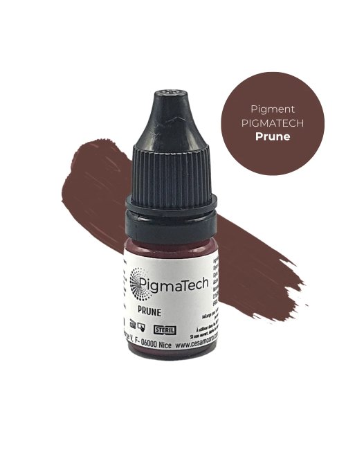 Pigment Pigmatech Prune - 5ml
