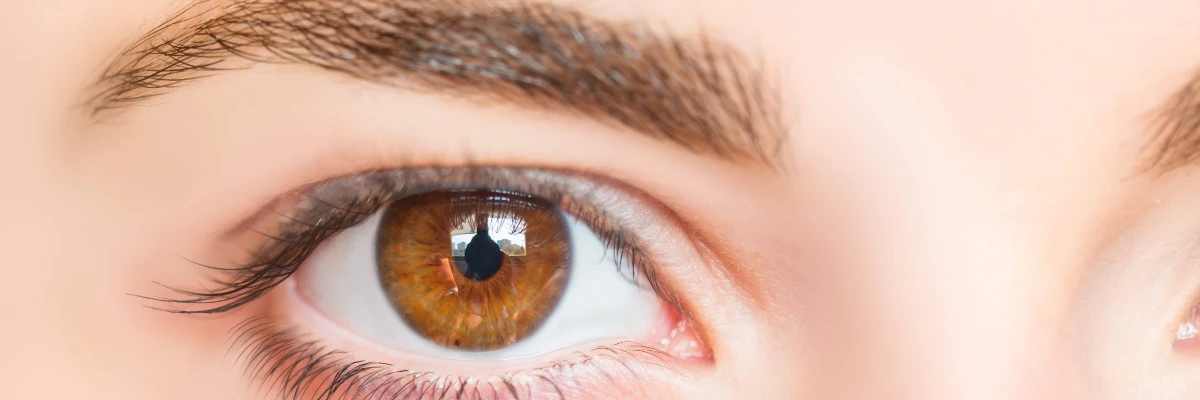 Maquillage permanent eye liner sur yeux marrons
