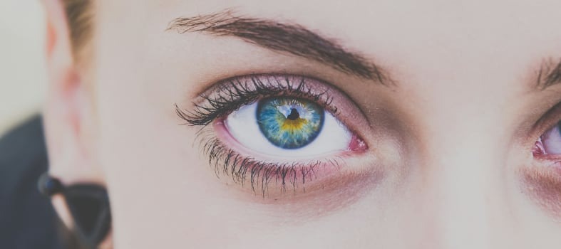 Sublimez les yeux de vos clientes